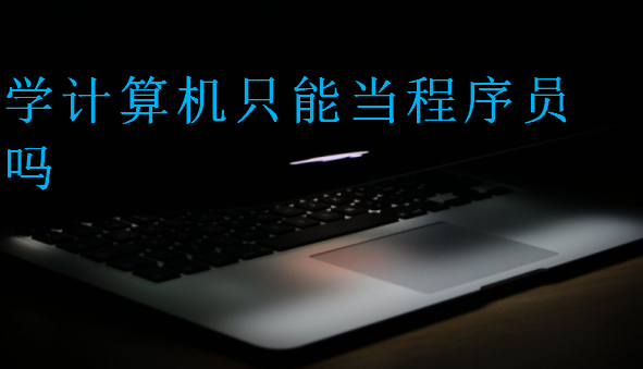 學(xué)計(jì)算機(jī)只能當(dāng)程序員嗎