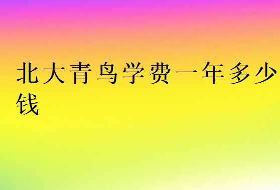 北大青鳥學(xué)費(fèi)一覽表