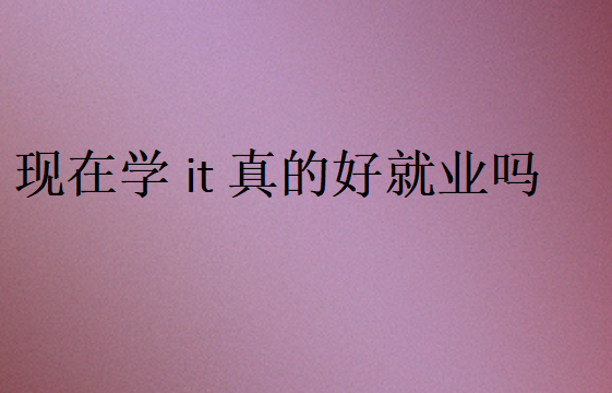 現(xiàn)在學(xué)it沒用了嗎