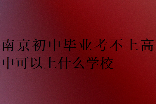 南京初中畢業(yè)考不上高中可以上什么學(xué)校