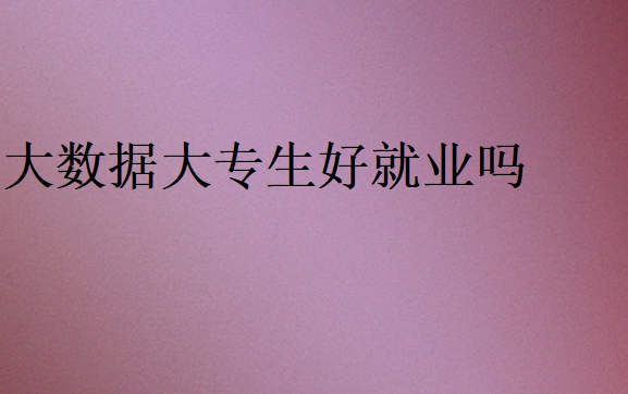 大數(shù)據(jù)大專生好就業(yè)嗎